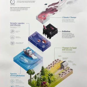 Pack 2: Geography Content