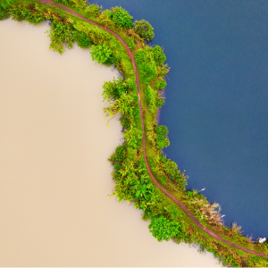 Webinar Recording: Differentiating to Improve Engagement